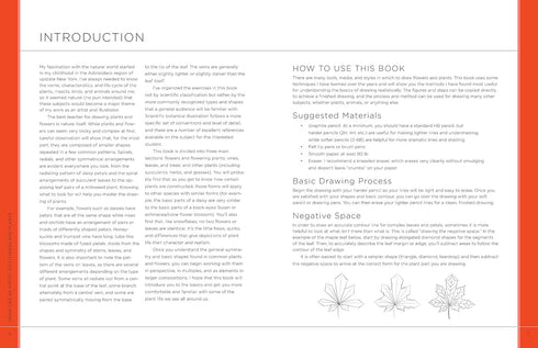 DRAW LIKE AN ARTIST: 100 FLOWERS AND PLANTS - WASHBURN. MELISSA